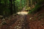 2014-07-05_Laengental-N-Hochweg (992). JPG